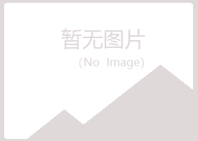 柳州鱼峰岑迷咨询有限公司